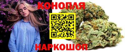 стафф Камышлов